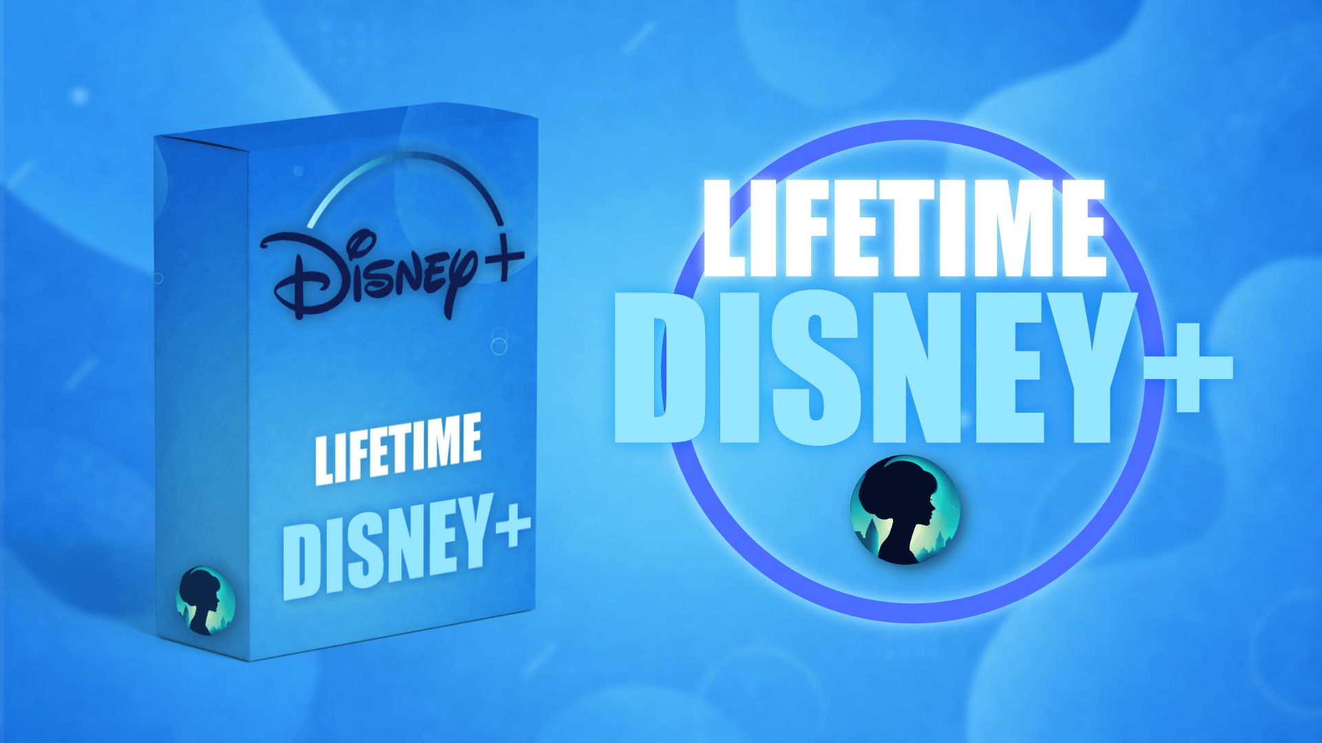DISNEY+ SHARED ACCOUNT